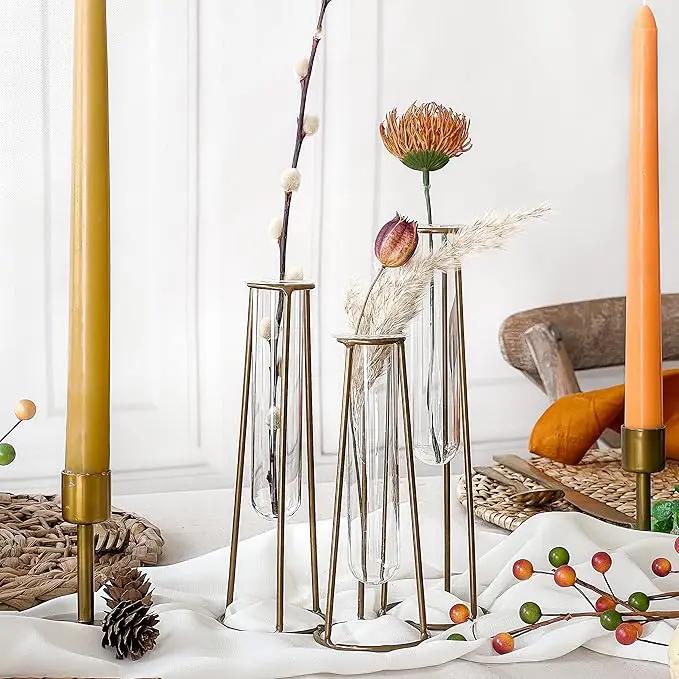 Propagation Station Terrariums with Gold Metal Stand - Kate Aspen 3 Glass Test Tube Planters for Indoor Plant, Air Plants, Plant Clippings, Cut Flowers, Herbs, Succulents | Home Decor Table Decoration by GreenHaven Gardens