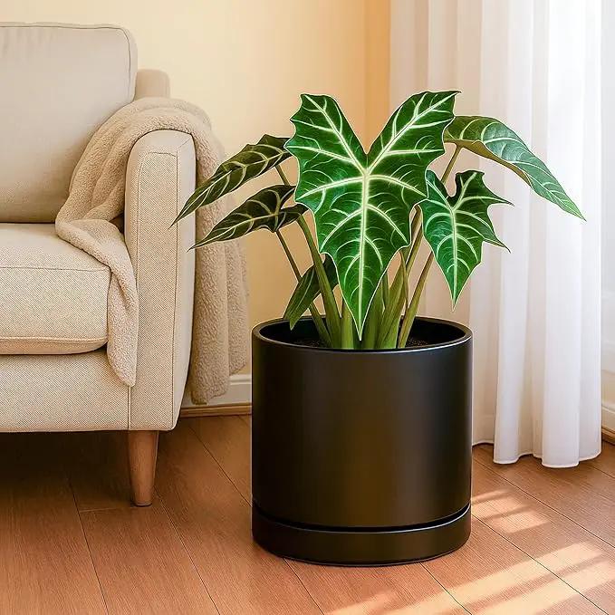D'vine Dev Set of 2 Plants Pots, 10 Inch Ceramic Planter Pot for Plants with Drainage Hole and Saucer, Black, 94-V-E-2 by GreenHaven Gardens
