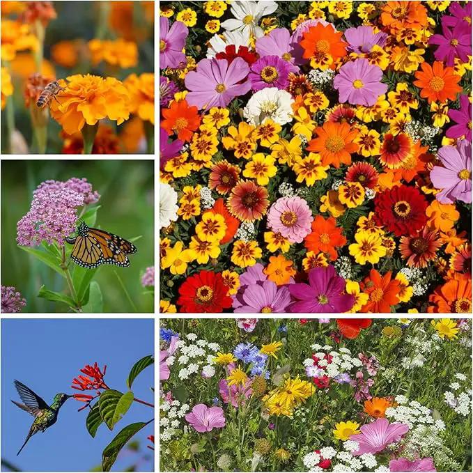 Pollinator Wildflower Seed Shaker Collection - ~300,000+ Wild Flower Seeds for Planting - Includes Hummingbird & Butterfly, Save The Monarchs, and Save The Bees Wildflower Mixes - Covers ~1,000 sq ft… by GreenHaven Gardens