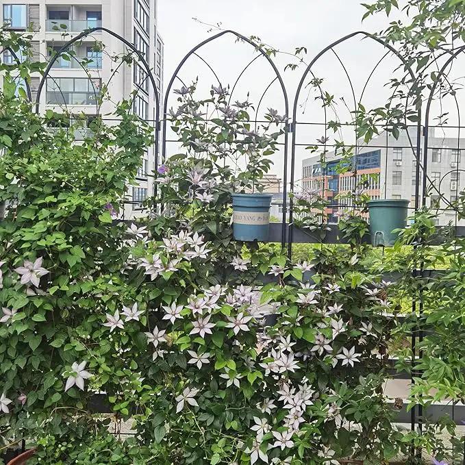 Metal Garden Trellis Rustproof Trellis for Climbing Plants Outdoor Flower Support (Black-4 Pack, 78.7"x19.7") by GreenHaven Gardens