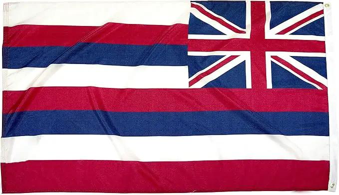 FlagSource Hawaii Nylon State Flag, Made in the USA, 4x6' by GreenHaven Gardens