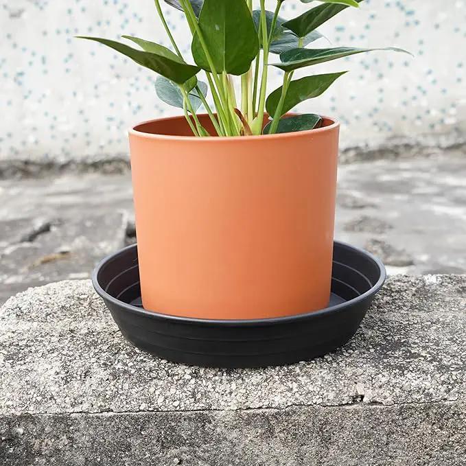 4 Packs 8 Inches Plant Saucer Drip Trays, Round Plastic Plant Pot Saucers Flower Pot Tray for Indoor Outdoor by GreenHaven Gardens