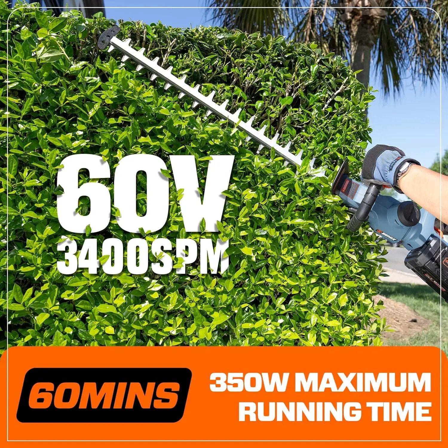 SENIX X6 60V Max* Battery Powered 26" Cordless Hedge Trimmer with Brushless Motor, Double-Sided Dual Action Blades, 1-1/4" Cutting Capacity, 3.0 Ah Lithium-ion Battery & Charger Included (HTX6-M1) by GreenHaven Gardens