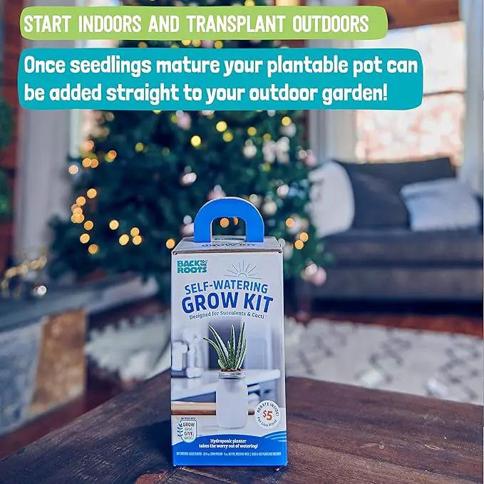 Back to the Roots Self Watering Grow Kit - Glass Hydroponic Planters for Succulents and Cacti - Hassle-Free Self-Watering System by GreenHaven Gardens