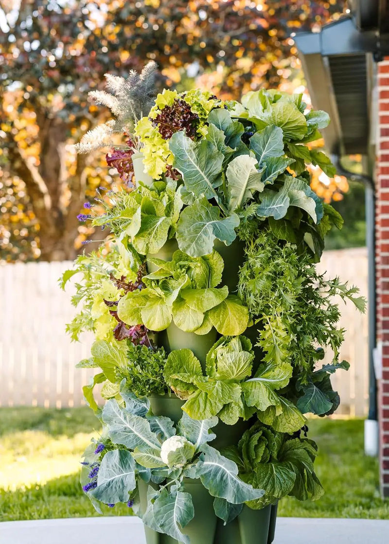 Greenstalk Patented Large 5 Tier Vertical Garden Planter with Patented Internal Watering System Great for Growing a Variety of Strawberries, Vegetables, Herbs, & Flowers (Evergreen) by GreenHaven Gardens