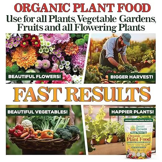 Organic Plant Food with Beneficial Microbes, Fast Acting Vegan Fertilizer for Vegetable Garden, Outdoor & Indoor Plant Fertilizer, Miracle Growth for Plants Concentrated Value 125GR Makes 30 gallons by GreenHaven Gardens