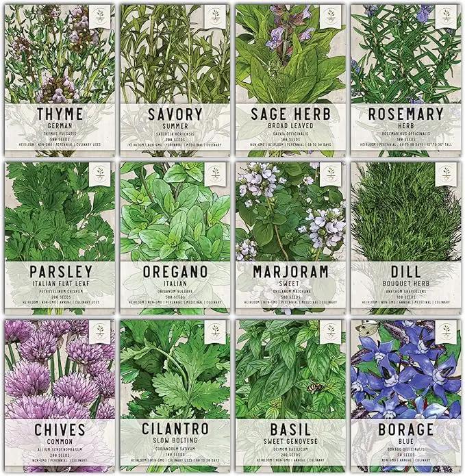 Seed Needs, Culinary Herb Seed Packet Collection Seed Starting Bundle (Includes 12 Individual Seed Packets, 36 Starter Pots & 1 Expandable Coco Coir Brick) Heirloom, Non-GMO, Untreated by GreenHaven Gardens
