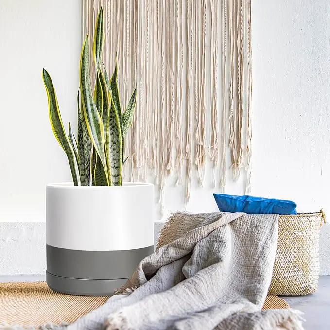 D'vine Dev 14 Inch Ceramic Planter Pot with Drainage Hole and Saucer, Indoor Cylinder Round Planter Pot, White/Speckled Grey, 94-O-G-6 by GreenHaven Gardens