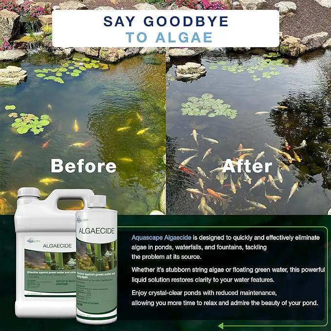 Aquascape Algaecide for Ponds, Waterfalls, and Fountains – Fast-Acting Algae Control, 32 oz / 946 ml, 96024 by GreenHaven Gardens