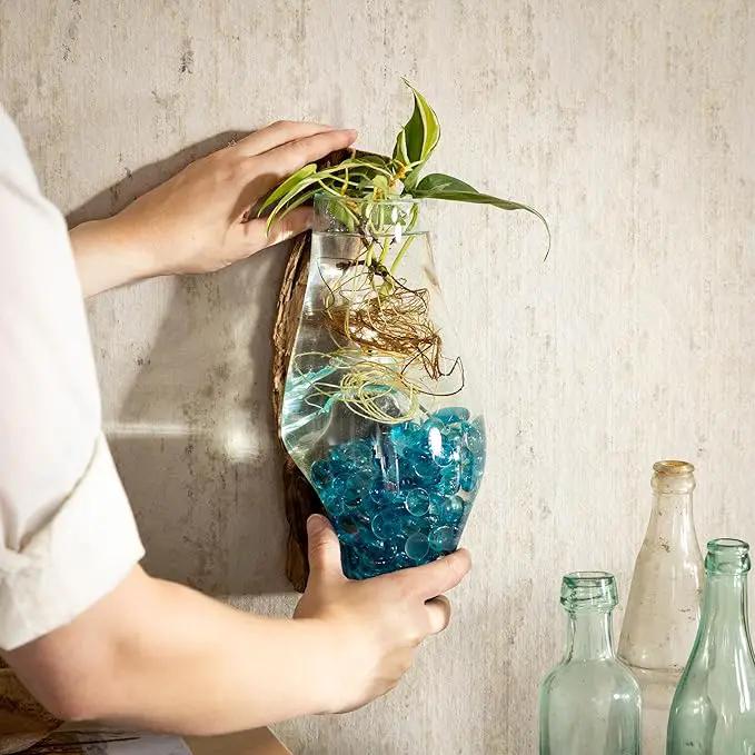 Cape Craftsmen Wall Mounted Molten Glass Hanging Terrarium on Driftwood, Indoor Wall Planter Vase on Wood, Propagation Station for Hydroponics Plants, Succulent Pot by GreenHaven Gardens
