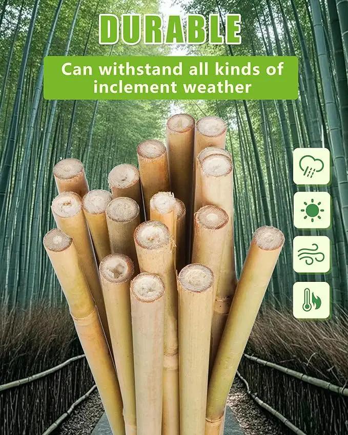 3ft Natural Bamboo Plant Stakes for Tomatoes, Beans, Flowers, Potted, Climbing Plants 25pcs by GreenHaven Gardens