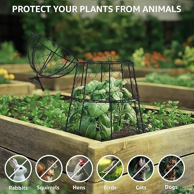 Pack of 10 Heavy-Duty Chicken Wire Plant Cloches – Rustproof Garden Protectors and Plant Cages for Vegetables and Flowers – Safeguard Plants from Deer and Critters – 20” x 12” by GreenHaven Gardens
