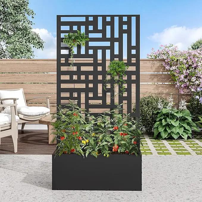 Casaphoria Metal Raised Garden Bed with Trellis and Wheels, 59"x30"x12" Planter Box for Climbing Plants, Vegetables & Vines, Features Drainage Holes and Privacy Screen (Black-Helen) by GreenHaven Gardens