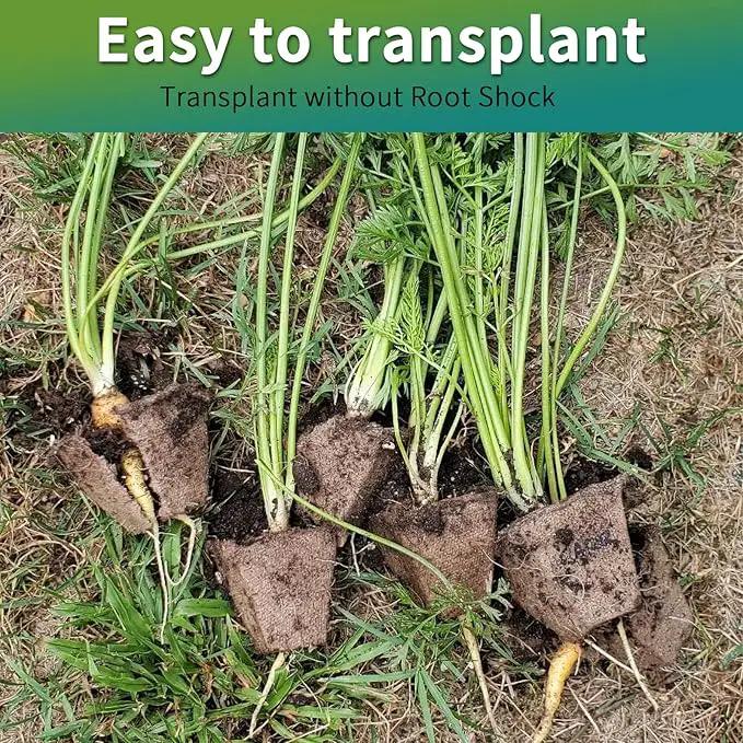 TCBWFY Biodegradable Seedling Trays, 20 Pack, 320 Cells, Ideal for Indoor and Outdoor Planting, Mint, Lavender, Rose by GreenHaven Gardens