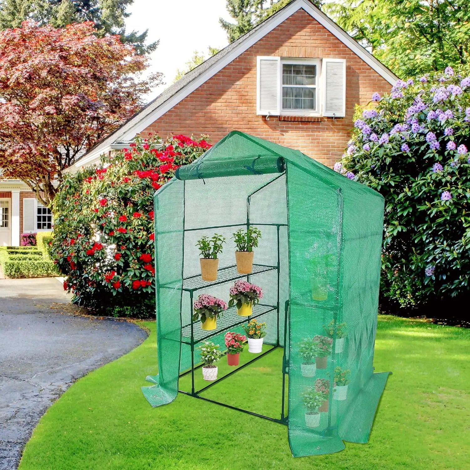 Walk-in Greenhouse Replacement Cover with Roll-Up Zipper Door- 56"x56"x76" PE Plant Gardening Greenhouse Cover for Gardening Plants Cold Frost Protection Wind Rain Proof (Frame Not Include) by GreenHaven Gardens