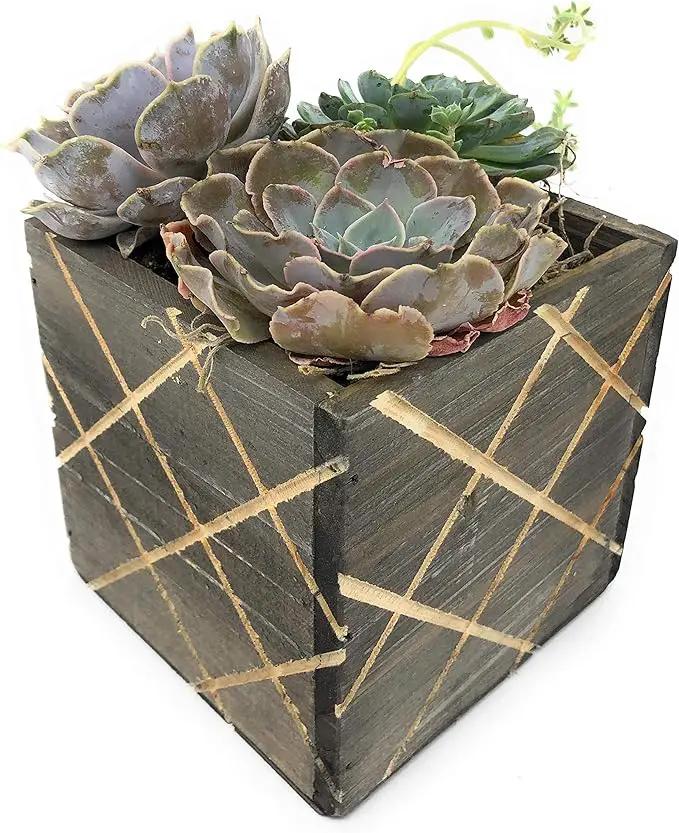 Wood Planter Box with Diamond Cross Hatch Style, 5 Inch Square, Rustic Barn Wood, Plastic Liner, Wedding Flowers Holder, Home and Venue Decor (5x5 Diamond Cross Hatch Set of 4, Natural) by GreenHaven Gardens