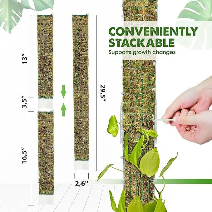 DUSPRO D-Shaped Plastic Moss Poles for Climbing Plants Monstera Stackable Moss Pole for Plants Moss Plant Pole Handmade Moss Stick for Indoor Plants Grow Upward 2 Pack 16.5 inches by GreenHaven Gardens