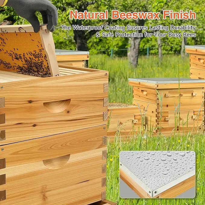 CREWORKS 10 Frame Bee Hive, 2 Layers Beeswax Coated Beehive Starter Kit with Frames & Foundations, Langstroth Bees Hives Box with Transparent Acrylic (Window Medium Box & Deep Box) by GreenHaven Gardens