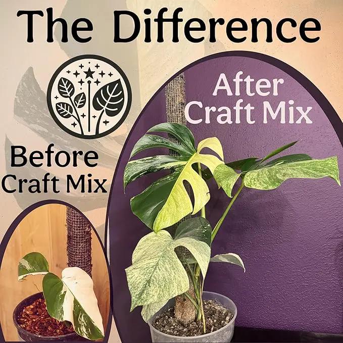 Craft Aroid Potting Mix- Elite Alocasia, Philodendron, Monstera Soil Mix, Chunky, Well Draining Potting Soil for Indoor Plants, All Tropical Plants & Houseplants, Synthetic & Peat Free 8QT by GreenHaven Gardens