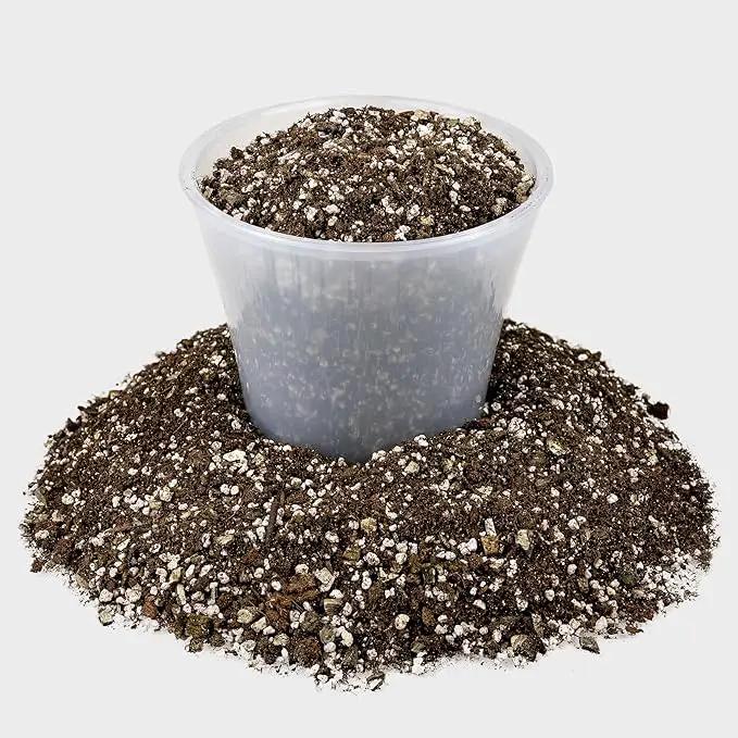 African Violets and Gesneriad Premium Soil Mix - Horticultural Perlite (25%) + Vermiculite (25%) + Sphagnum Peat Moss (50%) - Made in USA - (2 Quart Bag) by GreenHaven Gardens