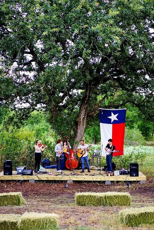 Texas State Flag 3x5 Ft, Deluxe Embroidered Heavy Duty Polyester Durable TX Outside Flags, Indoor/Outdoor, Sewn Stripes and Brass Grommets by GreenHaven Gardens
