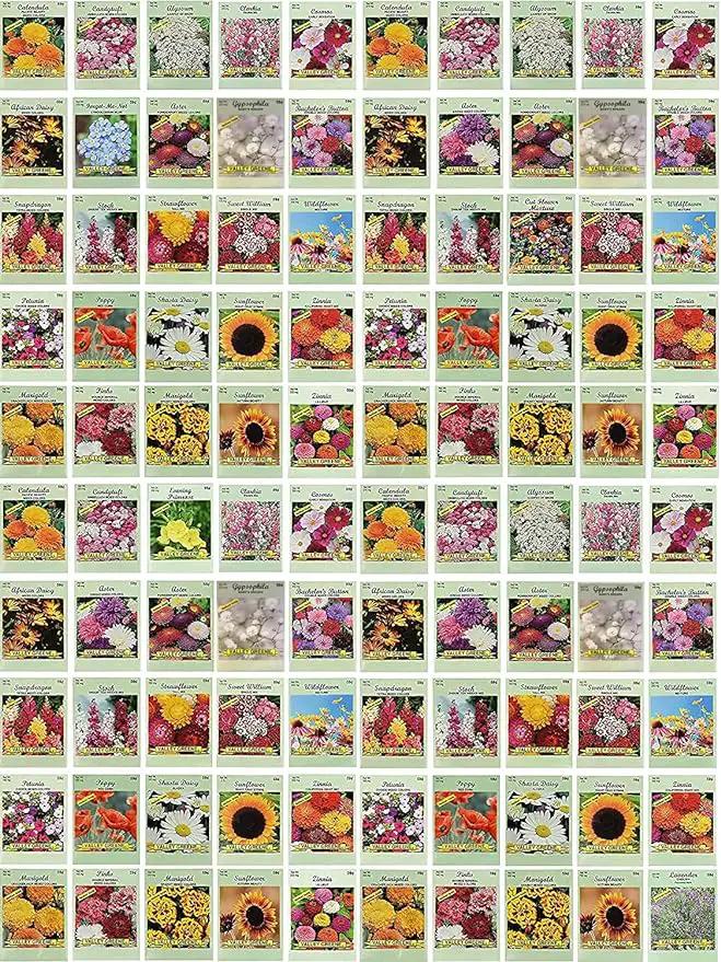 Black Duck Brand Set of 100 Flower Seed Packets! Flower Seeds in Bulk - Best Value Seeds - Great for Classrooms, Beginner Gardeners and Kids! - Deluxe Varieties! (100)