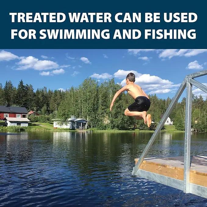 Airmax Black DyeMond Pond Dye 4X Concentrate for Outdoor Ponds & Lakes, Natural Pond Colorant & Beauty Enhancer, Block Ultraviolet Rays, Fish, Bird & Livestock Safe, Easy Liquid Application, 1 Quart by GreenHaven Gardens