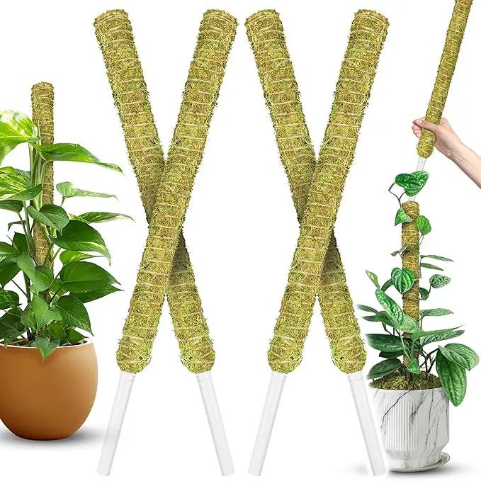 DUSPRO Natural Stackable Moss Pole for Plants Monstera Potted Plant Stakes for Indoor Plants Extendable Plant Pole Moss Sticks for Plants Climbing Vine Supporting Monstera Trellis 4Pcs 22'' by GreenHaven Gardens