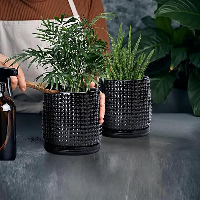 D'vine Dev Set of 2 Ceramic Plants Pots, 6 Inch Beaded Stoneware Flower Pot for Plants with Drainage Hole and Saucer, Glossy Black, 27-E-X-2 by GreenHaven Gardens