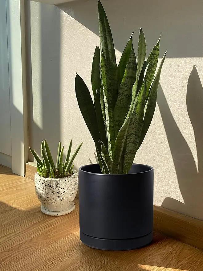 D'vine Dev 12 Inch Ceramic Planter Pot with Drainage Hole and Saucer, Indoor Cylinder Round Planter Pot, Black, 94-O-F-2 by GreenHaven Gardens
