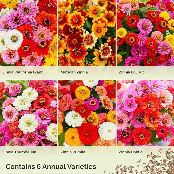 Eden Brothers Zin Master Flower Mixed Seeds for Planting, 5 lb, 2,400,000+ Seeds with California Giant, Mexican, Lilliput Zinnia | Attracts Pollinators, Plant in Spring, Zones 3, 4, 5, 6, 7, 8, 9, 10 by GreenHaven Gardens