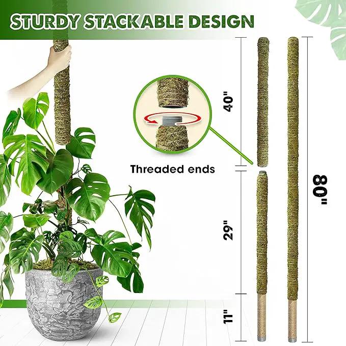 DUSPRO 80 Inches Large Moss Pole for Plants Monstera, Plant Stakes for Indoor Plants, Monstera Plant Support, Plant Support/Plant Pole for Big Climbing Plants Indoor (1pc., 80'') by GreenHaven Gardens