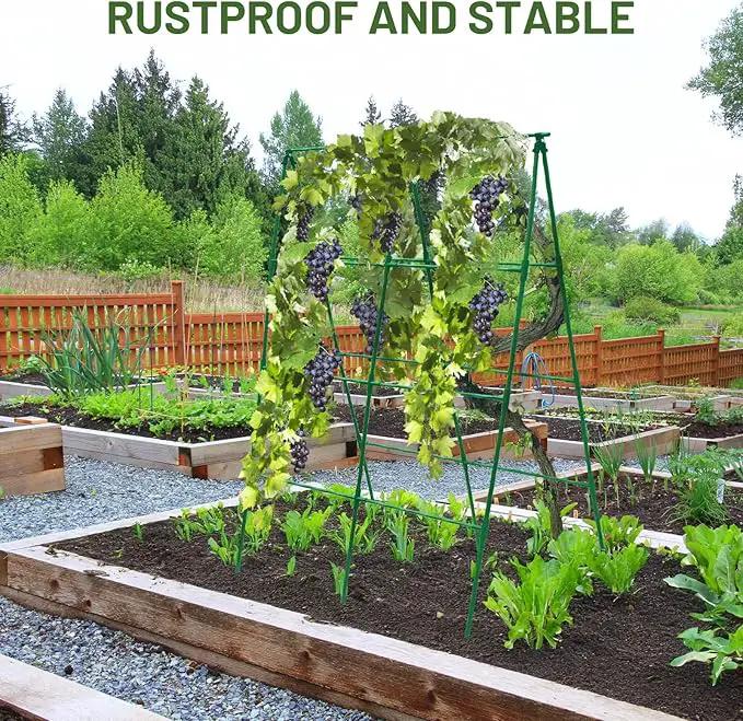 Large A-Frame Garden Trellis for Tomatoes, Cucumbers & Heavy Climbing Plants - Rust-Resistant, Heavy-Duty Steel, Perfect for Outdoor Gardens & Vertical Gardening(47" W x 63" H) by GreenHaven Gardens