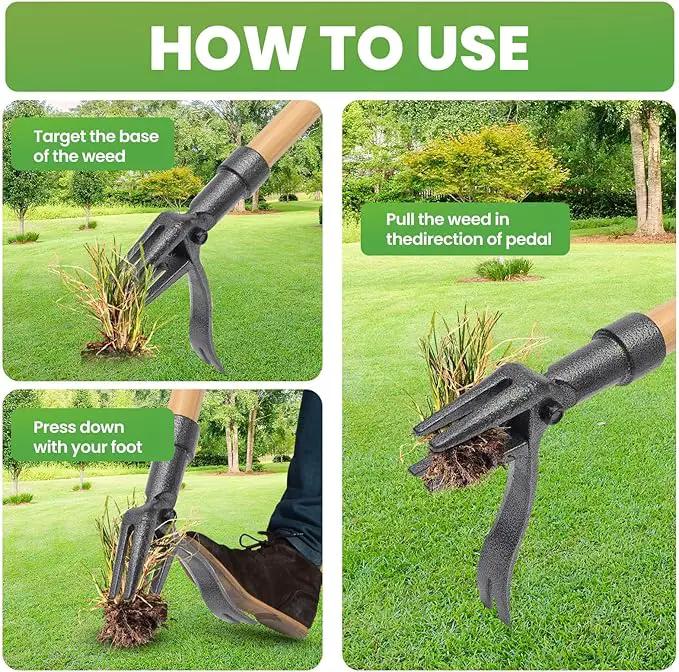 Weed Puller Tool Stand Up Weed Puller Tool with 3-Section Bamboo Handle & 4-Claw Steel Head Manual Weeder for Lawn and Garden (Bamboo) by GreenHaven Gardens
