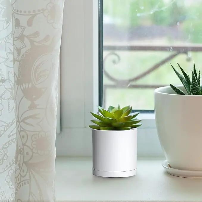 D'vine Dev 18 Pack 2.5 Inch Mini Plastic Plant Pots, Small Garden Planters for Plant with Drainage Holes and Saucers, White Color, 74-Z-B-5 by GreenHaven Gardens