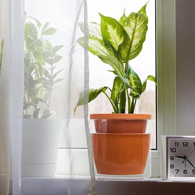 D'vine Dev 6 Inch Design Self Watering Pot for Indoor Plants, Terracotta Planter with Cylinder Glass Cup, Set of 1, 37-X-B-1 by GreenHaven Gardens