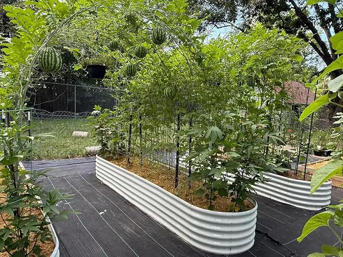 A ANLEOLIFE 12X3X1.5 ft Galvanized Raised Garden Beds Outdoor, Oval Extra Large Metal Planter Box for Planting Vegetables Flowers Herb, Anti-Rust & Easy-Setup, Antique White by GreenHaven Gardens