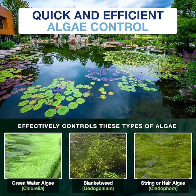 Aquascape Algaecide for Ponds, Waterfalls, and Fountains – Large-Scale Algae Control, 2.5 Gallons / 9.46 L, 96053 by GreenHaven Gardens