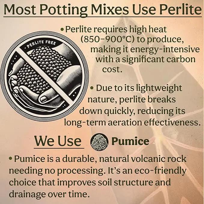 Craft Aroid Potting Mix- Elite Alocasia, Philodendron, Monstera Soil Mix, Chunky, Well Draining Potting Soil for Indoor Plants, All Tropical Plants & Houseplants, Peat Free 12QT by GreenHaven Gardens