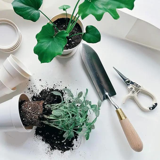 Plant Pruning Shears Garden Trimming Scissors Precision Hand Pruner Herb Snips Flower Clippers Bonsai Trimmers Straight Sharp Blade Tapered Tip Ergonomic Handle Garden Tools (Classic Cream) by GreenHaven Gardens