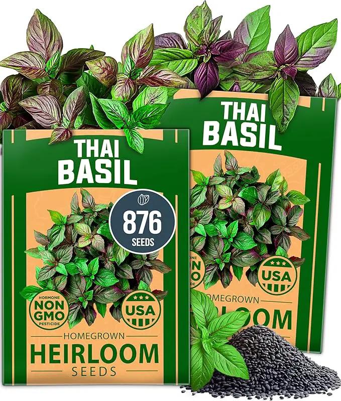 HOME GROWN Thai Basil Seeds Pack - 876 High Germination 𝗡𝗢𝗡-𝗚𝗠𝗢 𝗨𝗦𝗔 Heirloom Herb Seeds for Planting,Ideal for Growing Fresh Basil Planting Indoor or Outdoor(Ocimum basilicum var.thyrsiflora) by GreenHaven Gardens