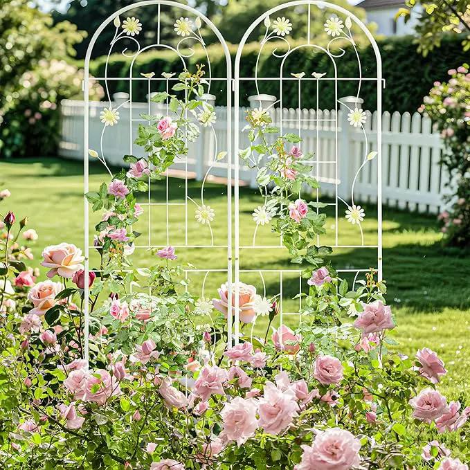 LZRS 2 Pack 71x20in Rustic Iron Arch Decoration Garden Trellis with Black Metal Coating – Perfect for Supporting Climbing Plants Outdoor, Roses, Vines, Flowers, and Vegetables. by GreenHaven Gardens