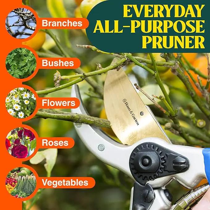Haus & Garten ClassicPRO 8.5" Premium Titanium Bypass Pruners - Use as Garden Shears Pruning Shears for Gardening, Hand Pruners, Handheld Garden Clippers, Scissor Clipper Tool by GreenHaven Gardens
