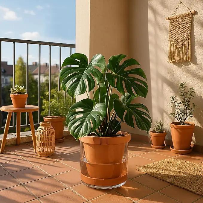 D'vine Dev 10 Inch Design Self Watering Pot for Indoor Plants, Terracotta Planter with Cylinder Glass Cup, 37-X-D-1 by GreenHaven Gardens
