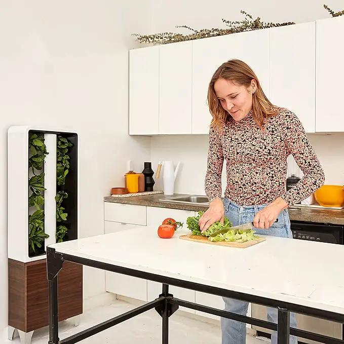 Just Vertical EVE Indoor Hydroponic Garden | Modern Furniture-Style Vertical Planter | Grow 12 Fresh Herbs & Vegetables Year-Round | Self-Watering, Energy-Efficient LED, Compact Design by GreenHaven Gardens