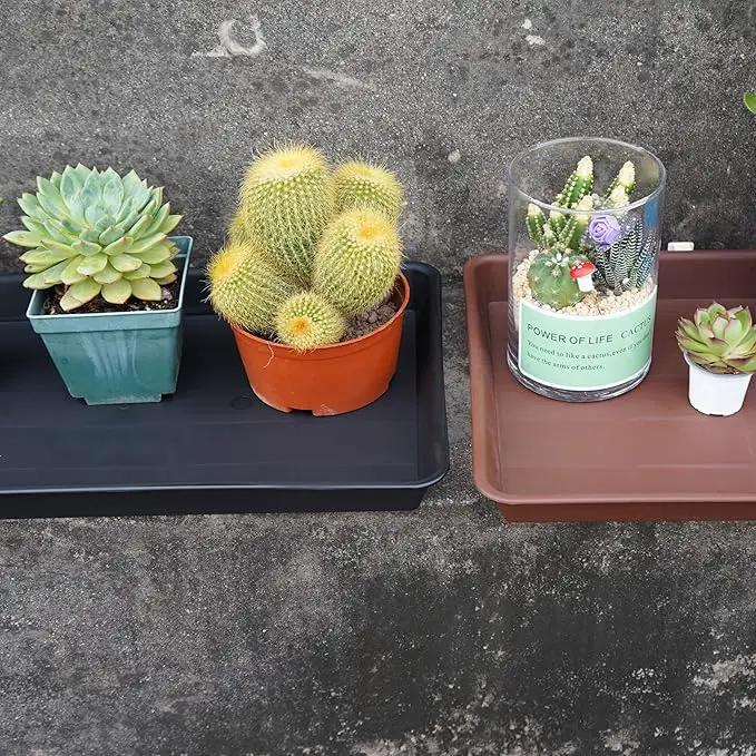 Plant Growing Trays 2 Pack, Plant Tray, 14.5"x11", Heavy Sturdy Plastic Plants Saucer, Seedling Starter Trays, Seed Starter Growing Tray (Black) by GreenHaven Gardens