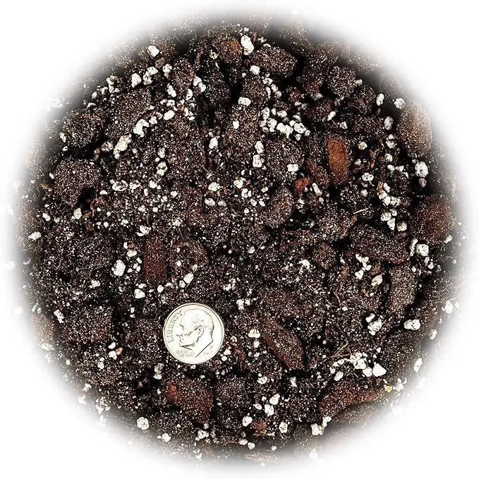 Professional Succulent Soil Premium All Purpose Blend | Pre-Mixed Ready to Use for Cactus and Succulents | Sphagnum Peat Moss, Perlite, New Zealand Pine Bark - Made in USA - 4 Quart by GreenHaven Gardens