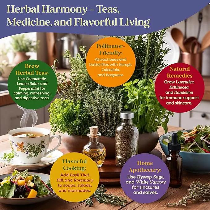 35 Medicinal & Tea Herb Seeds Variety Pack - 16,285+ Non-GMO Heirloom Herbs Seeds for Planting Indoor & Outdoor: Lavender, Rosemary, Echinacea, Mint, Catnip, Basil - Gardening Seed Packets by GreenHaven Gardens