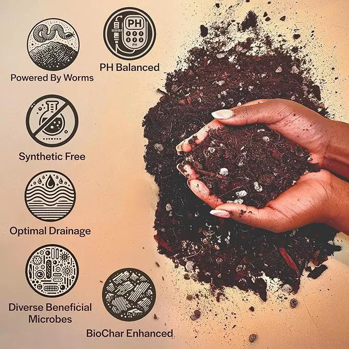 Craft Aroid Potting Mix- Elite Alocasia, Philodendron, Monstera Soil Mix, Chunky, Well Draining Potting Soil for Indoor Plants, All Tropical Plants & Houseplants, Peat Free 12QT by GreenHaven Gardens