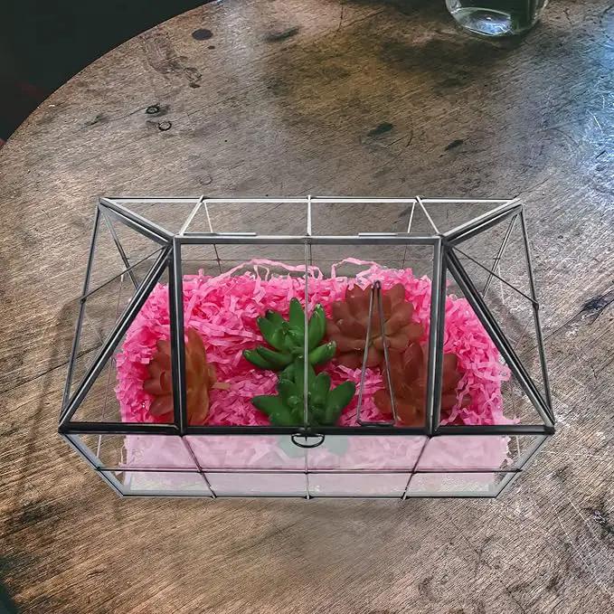 HighFree Geometric Terrarium Planter with Swing Lid, House Shape Black Handmade Glass Box, Vintage Tabletop Miniature Terrarium, for Succulent, Cacti, Air Plants (Not Watertight - 9.2x5.5x7.3 inch) by GreenHaven Gardens